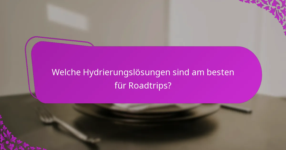 Welche Hydrierungslösungen sind am besten für Roadtrips?